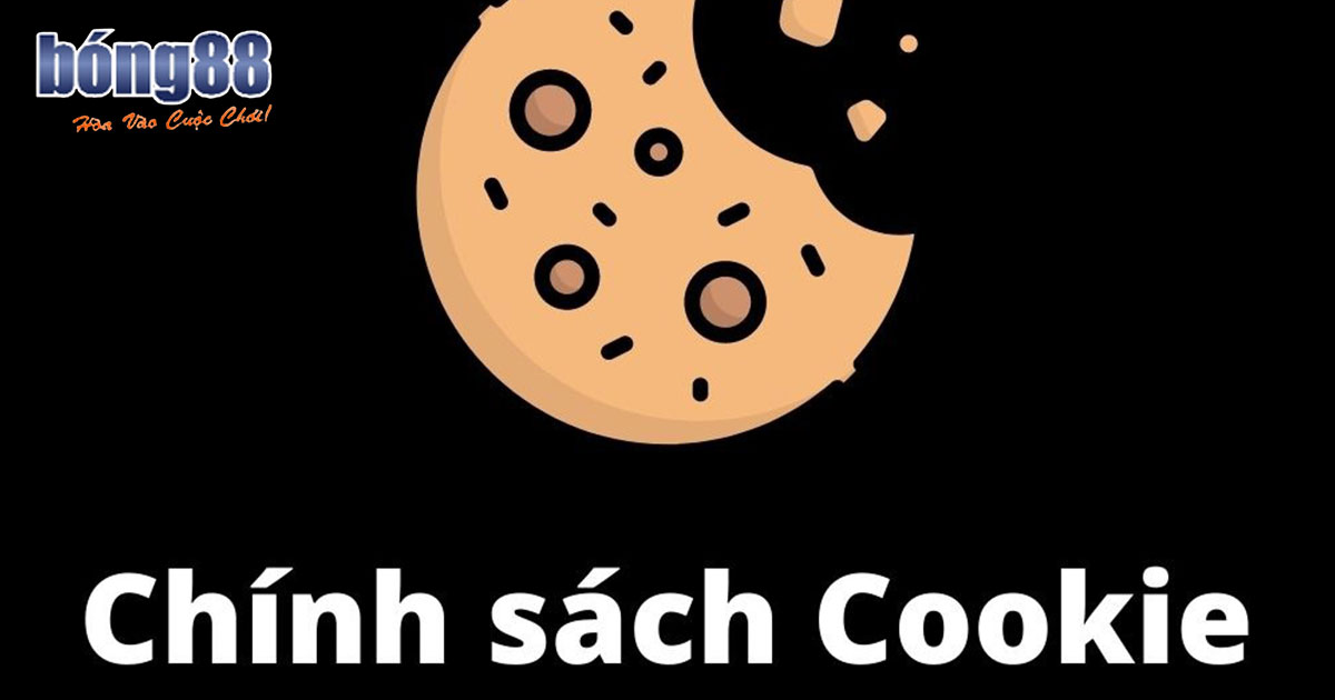 Đôi nét về chính sách cookie Bong88